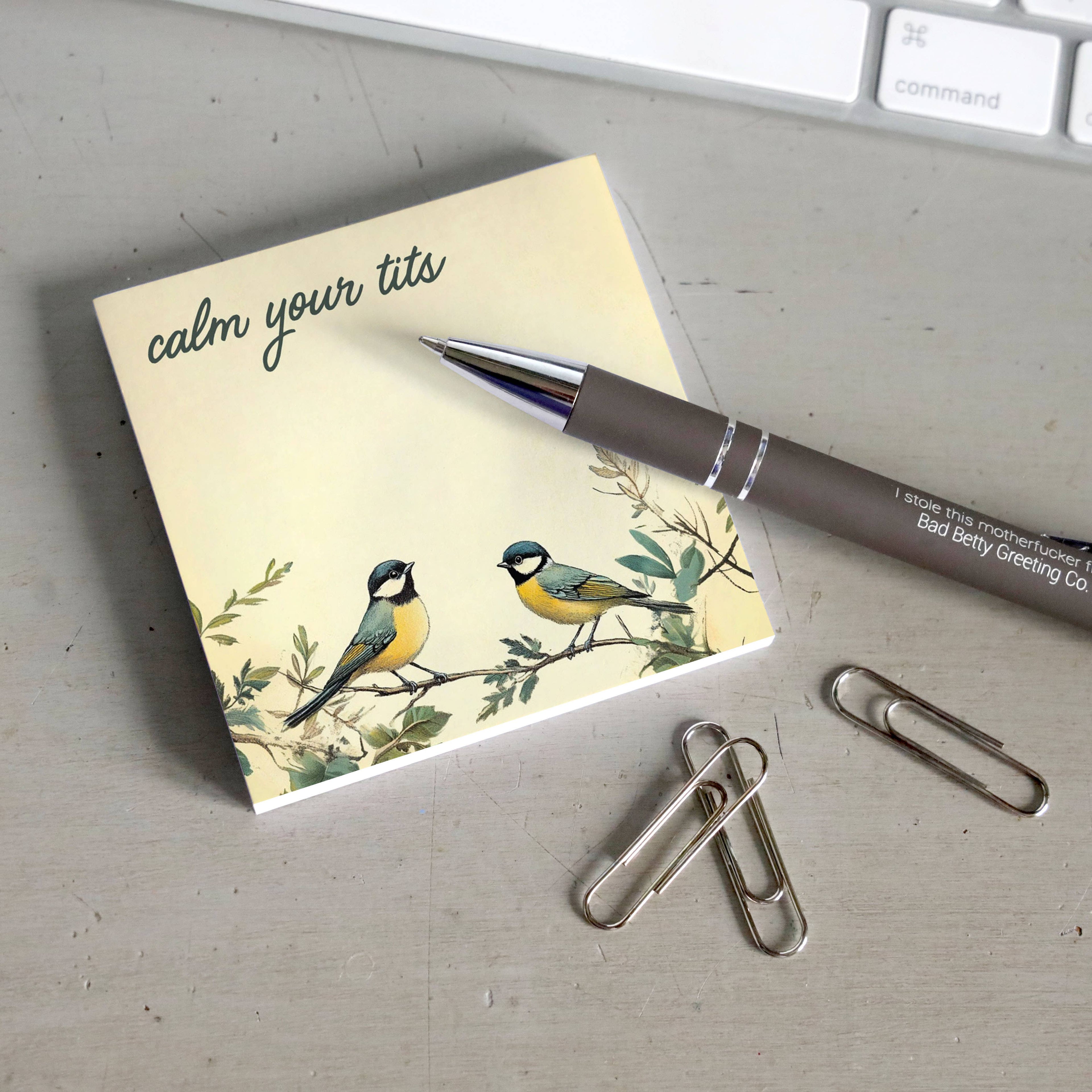 CALM YOUR TITS FUNNY SARCASTIC BIRDS STICKY NOTE PAD