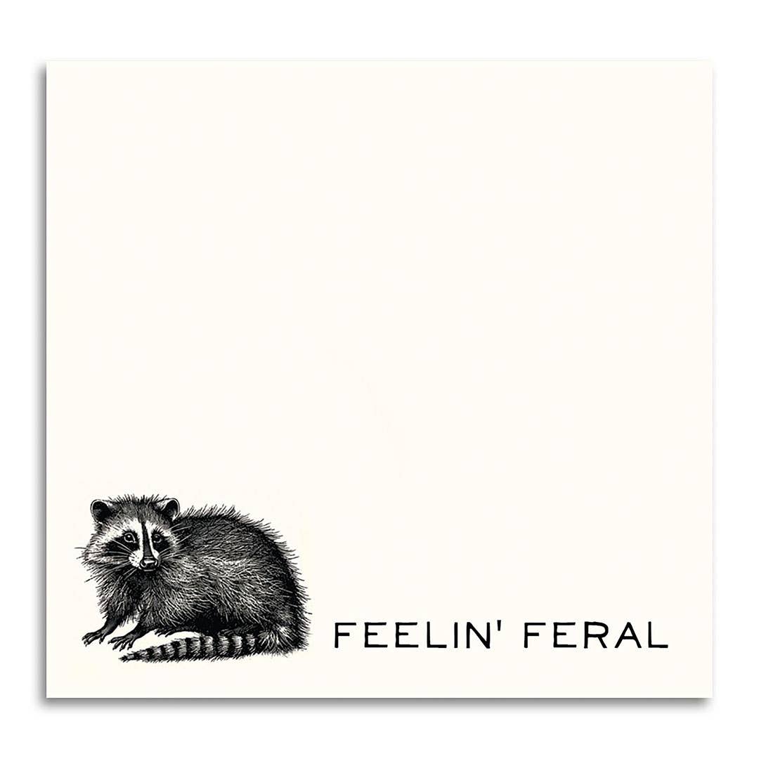 FEELIN' FERAL FUNNY SARCASTIC RACCOON STICKY NOTE PAD