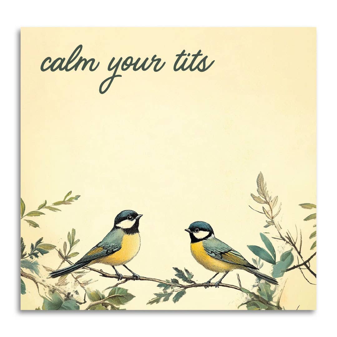 CALM YOUR TITS FUNNY SARCASTIC BIRDS STICKY NOTE PAD