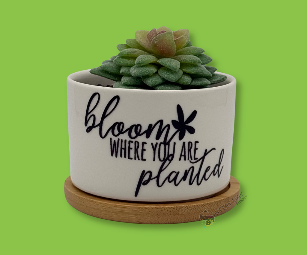 'BLOOM WHERE YOU ARE PLANTED' PETITE SUCCULENT FLOWER POT