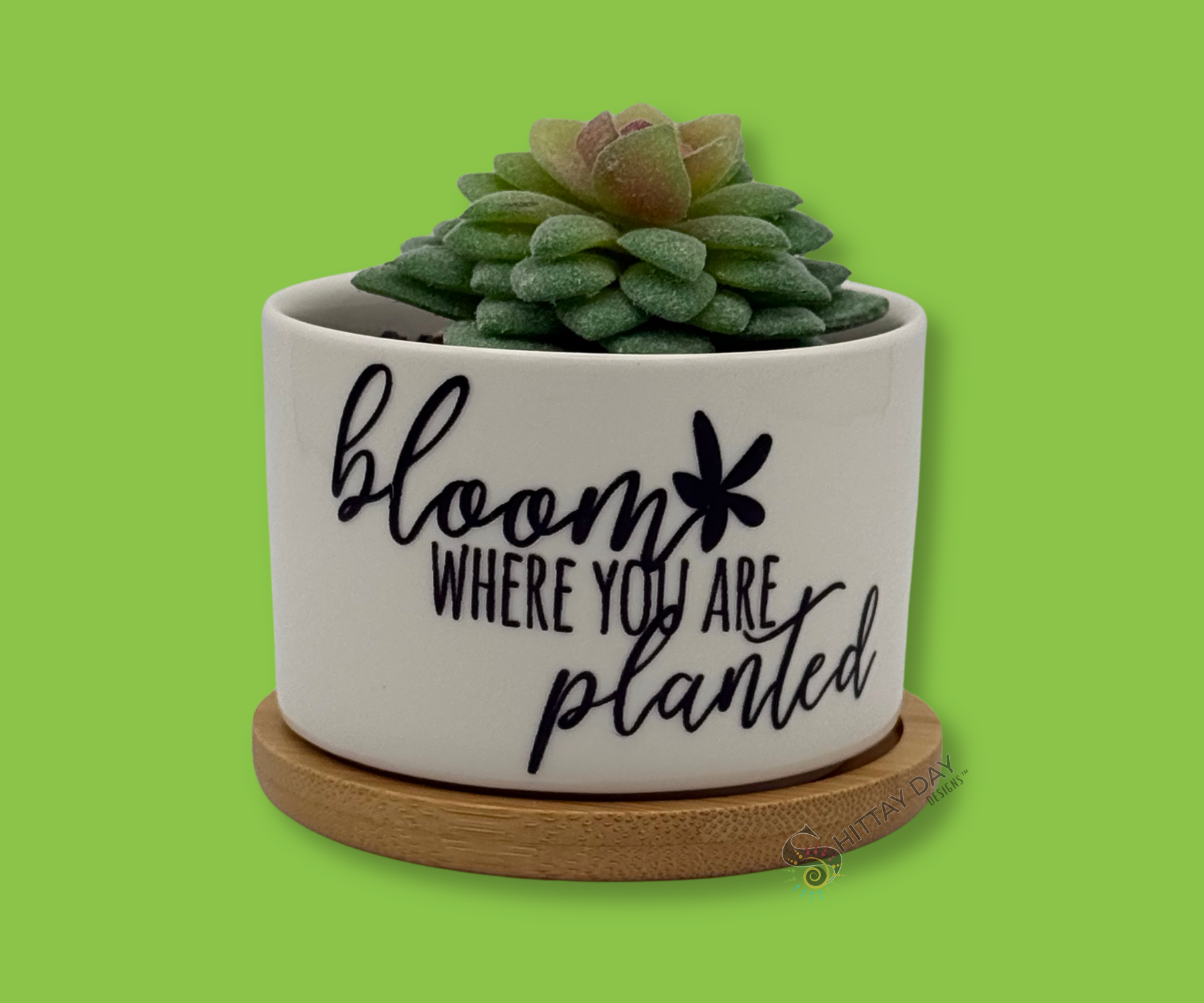 'BLOOM WHERE YOU ARE PLANTED' PETITE SUCCULENT FLOWER POT