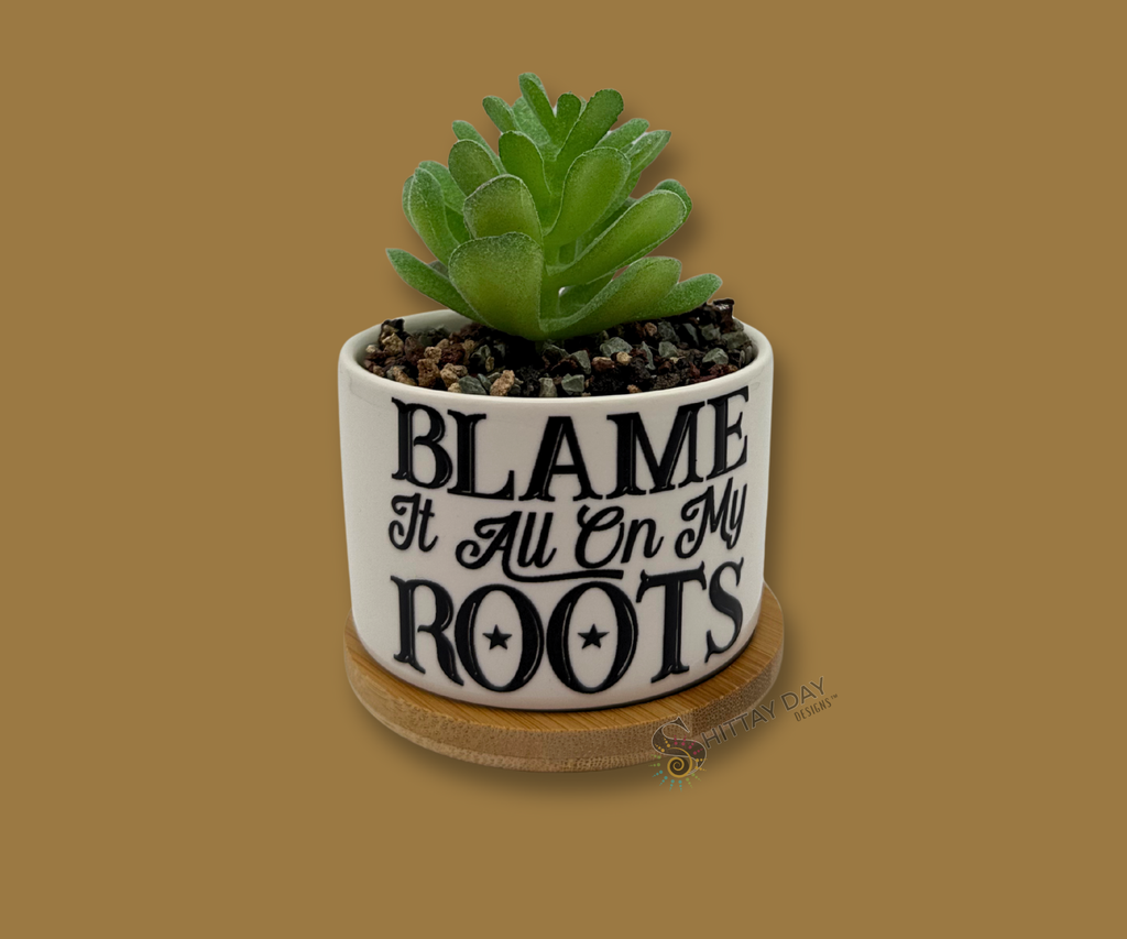 'BLAME IT ALL ON MY ROOTS' PETITE SUCCULENT FLOWER POT, ROCK POTS, FUNNY, PUNNY