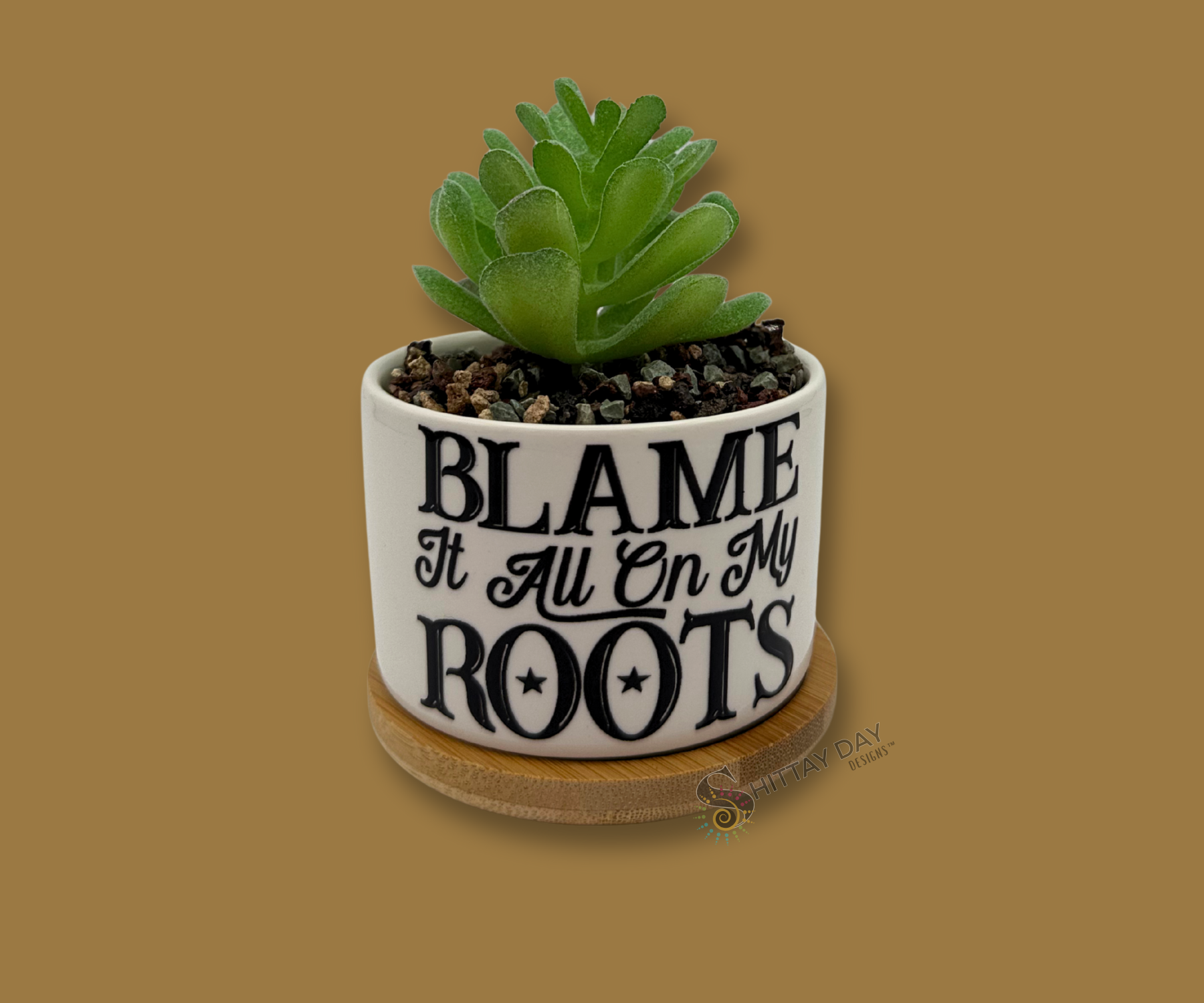 'BLAME IT ALL ON MY ROOTS' PETITE SUCCULENT FLOWER POT, ROCK POTS, FUNNY, PUNNY