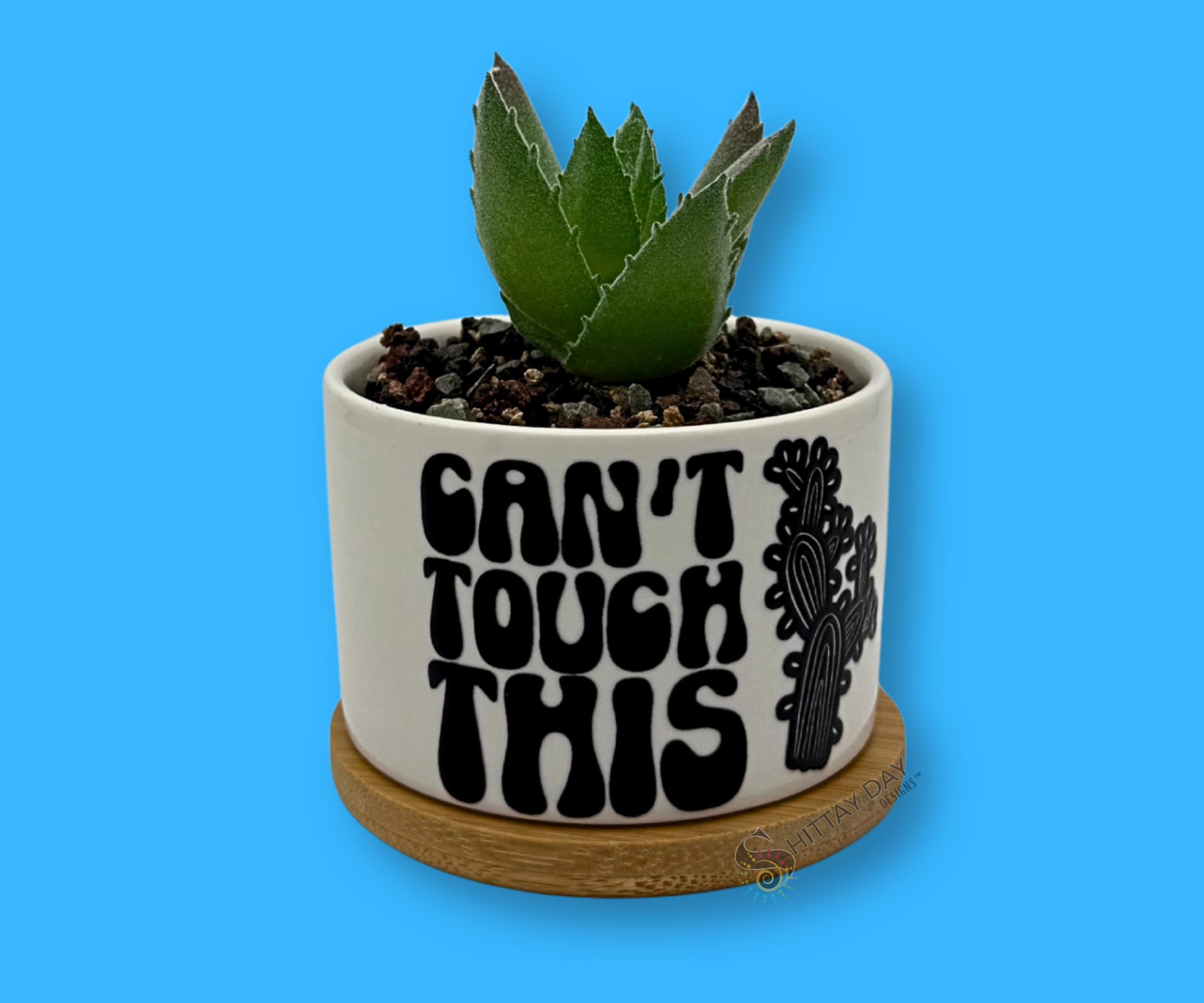 'CAN'T TOUCH THIS' PETITE SUCCULENT/ CACTI FLOWER POT, ROCK POTS, FUNNY, PUNNY