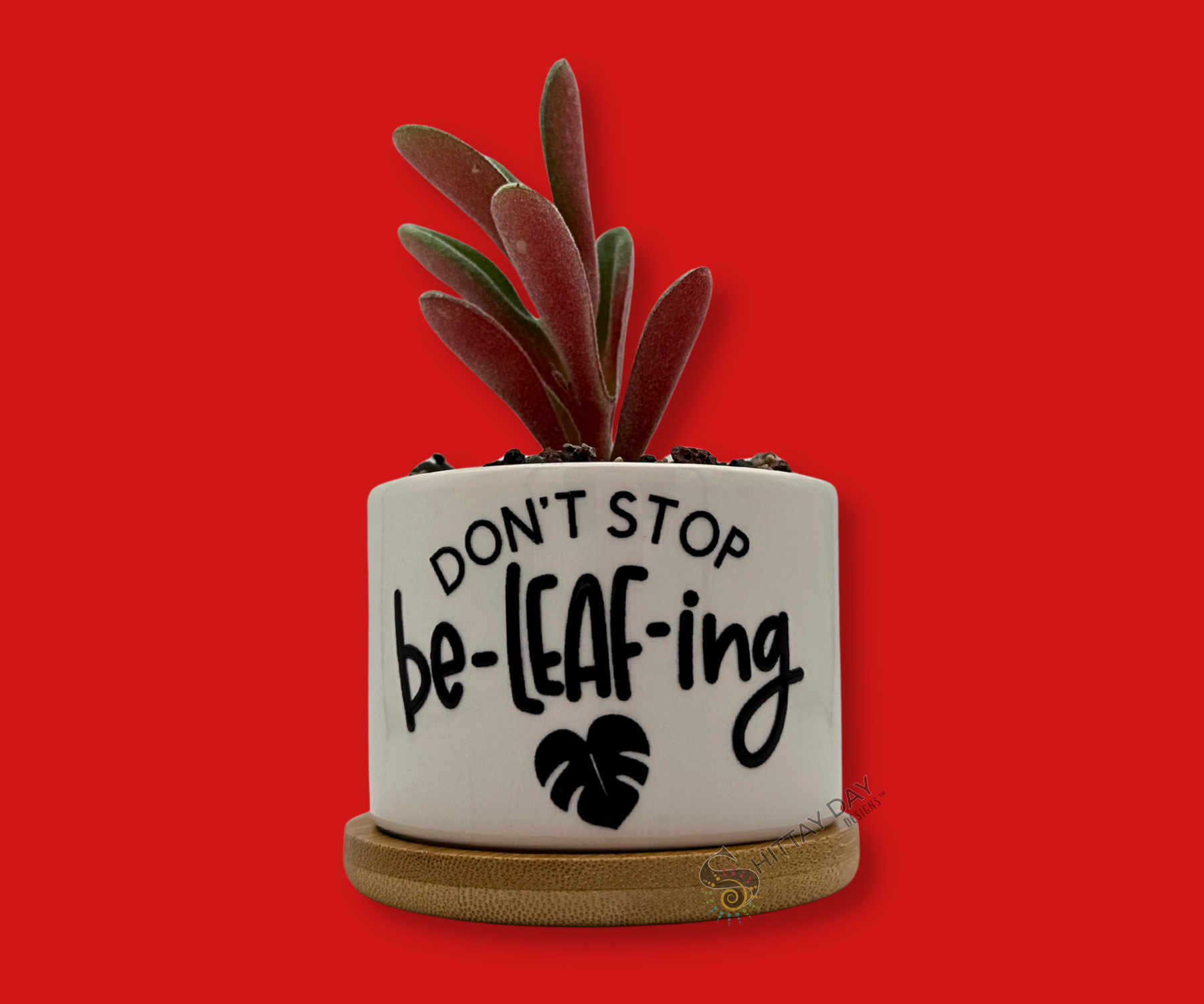 'DON'T STOP BE-LEAF-ING' PETITE SUCCULENT FLOWER POT, ROCK POTS, FUNNY, PUNNY