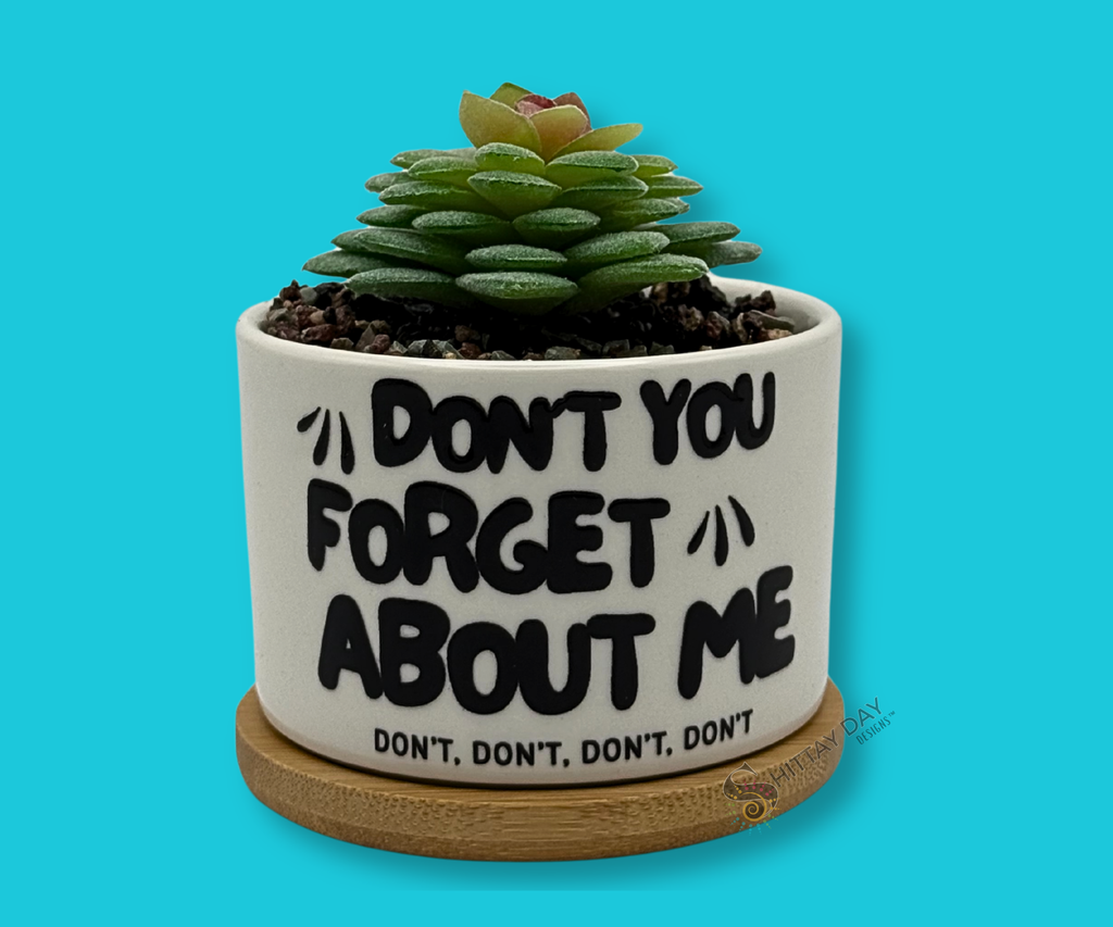 Potted artificial succulent in rockbed petite ceramic planter with 'Don't you forget about me, don't don't, don't, don't' text. Merchandised on a blue background