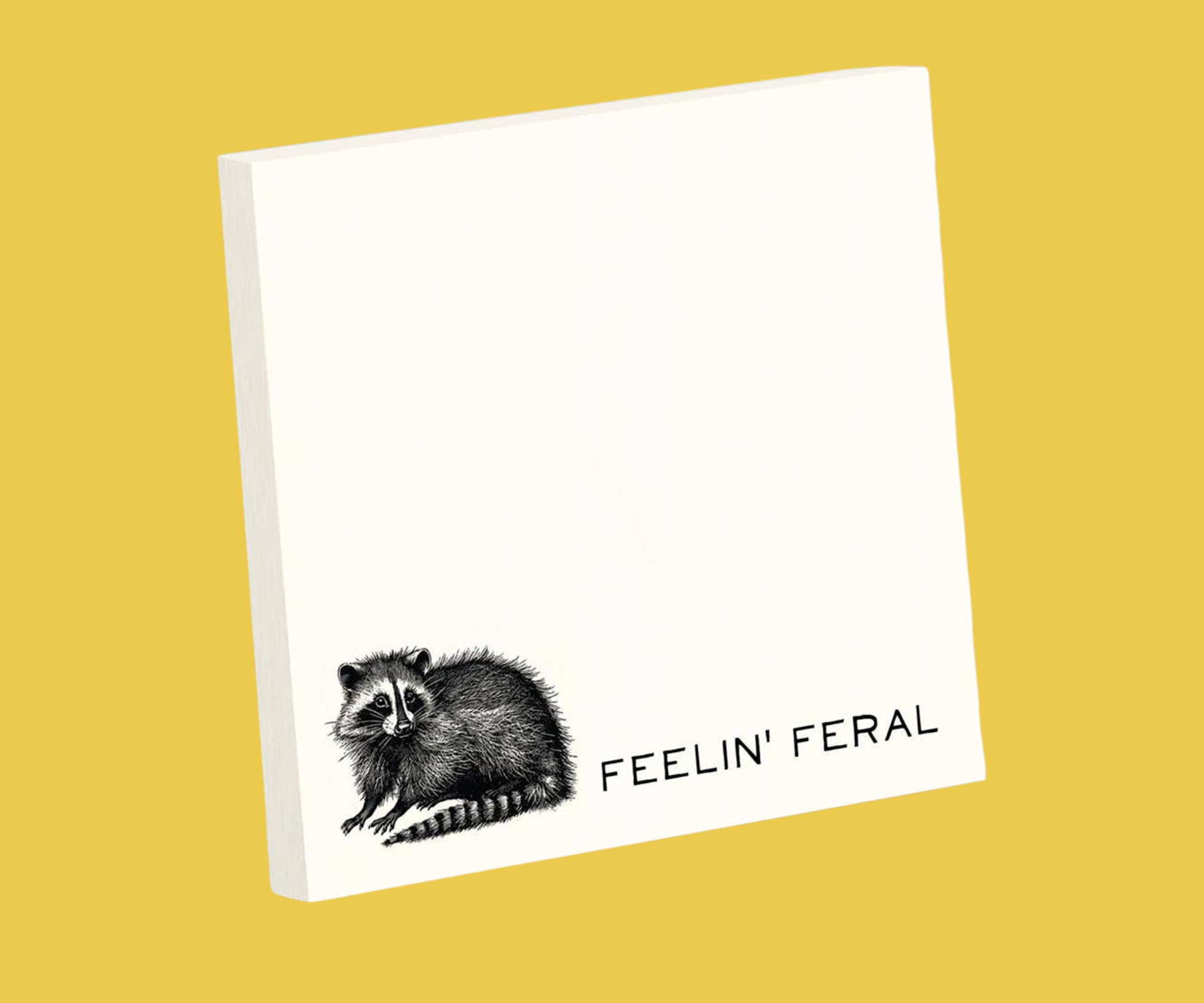 FEELIN' FERAL FUNNY SARCASTIC RACCOON STICKY NOTE PAD