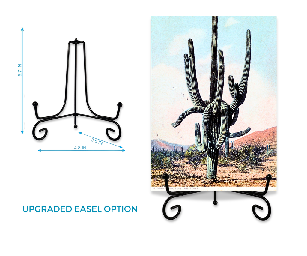 GIANT PRICKLY CACTUS CARDSIGN GREETINGS