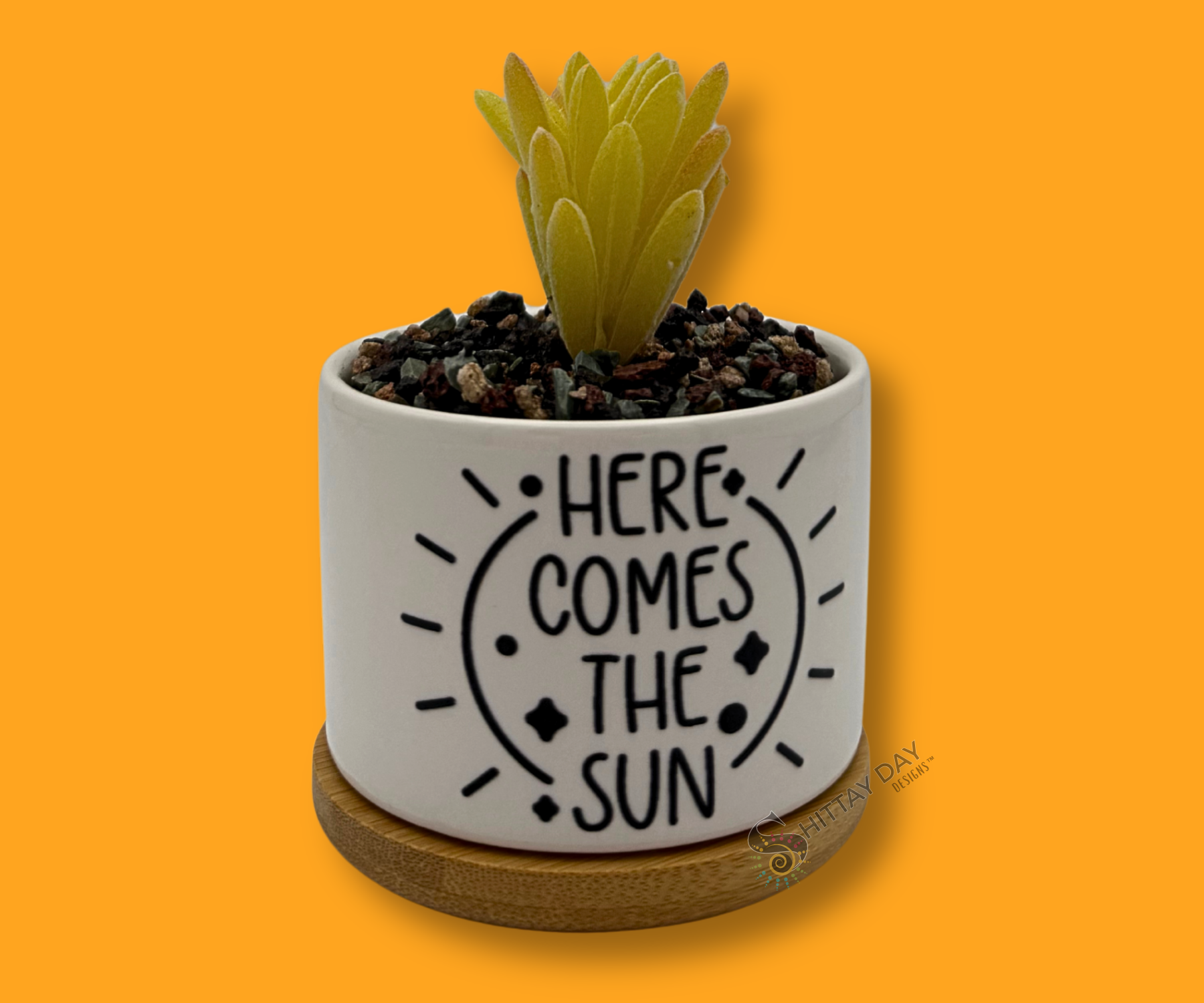 'HERE COMES THE SUN' PETITE SUCCULENT/ CACTI FLOWER POT, ROCK POTS, FUNNY, PUNNY