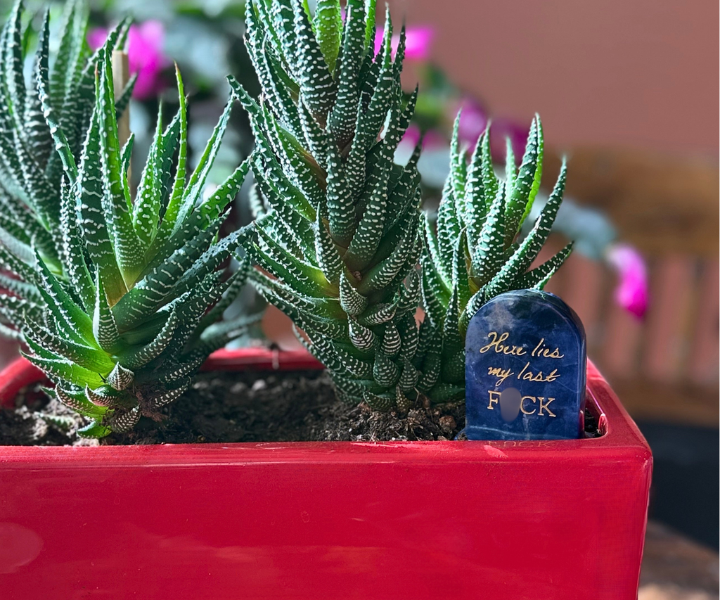 Natural crystal “Here lies my last F*CK” tombstone displayed as tabletop decor in a potted cactus.
