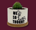 'ME SO THORNY' PETITE SUCCULENT FLOWER POT, ROCK POTS, FUNNY, PUNNY