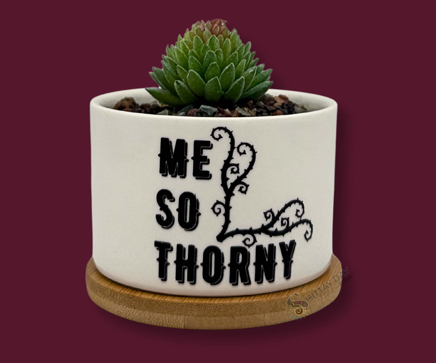 'ME SO THORNY' PETITE SUCCULENT FLOWER POT, ROCK POTS, FUNNY, PUNNY