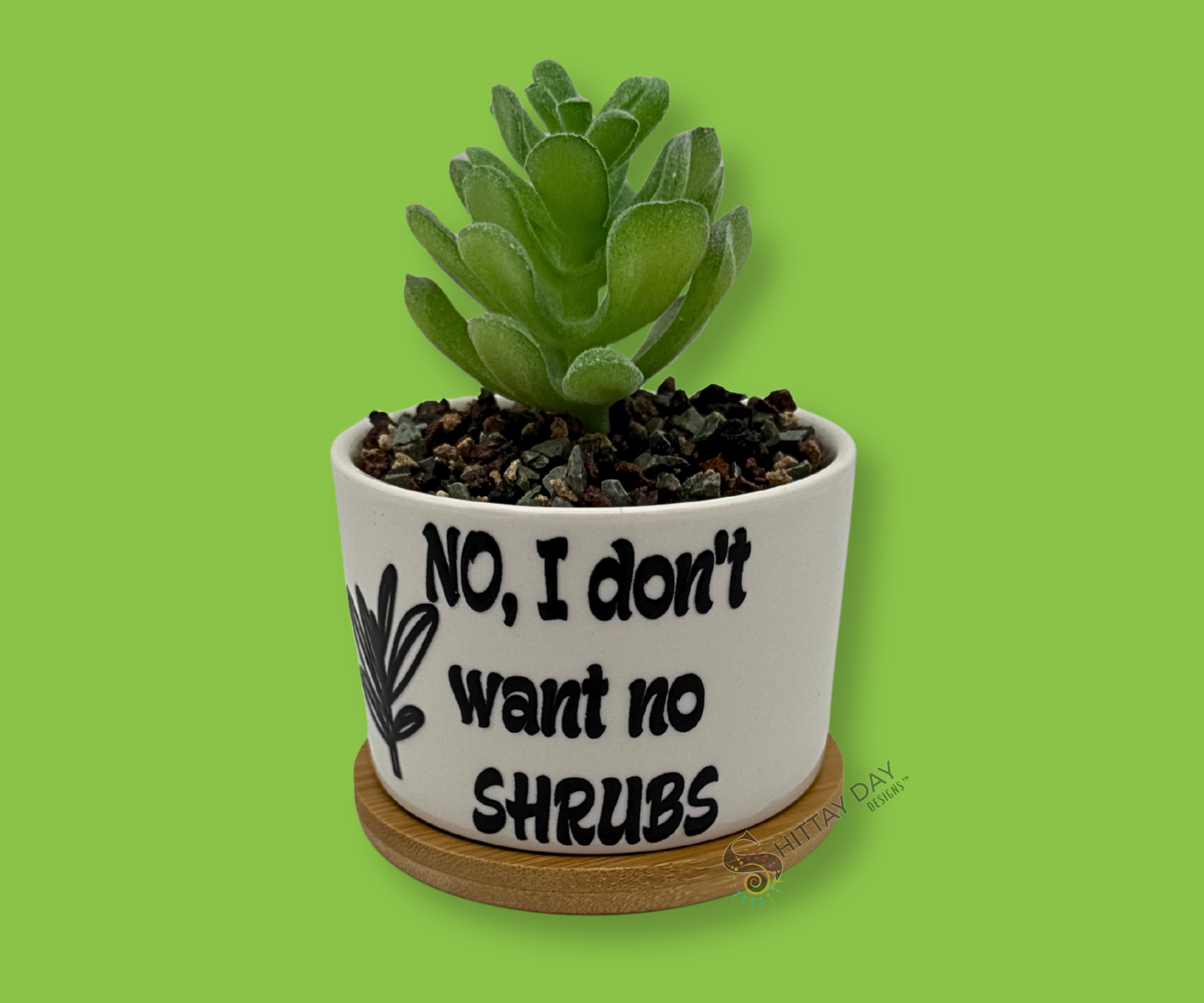 'NO, I DON'T WANT NO SHRUBS' PETITE SUCCULENT/ CACTI FLOWER POT, ROCK POTS, FUNNY, PUNNY