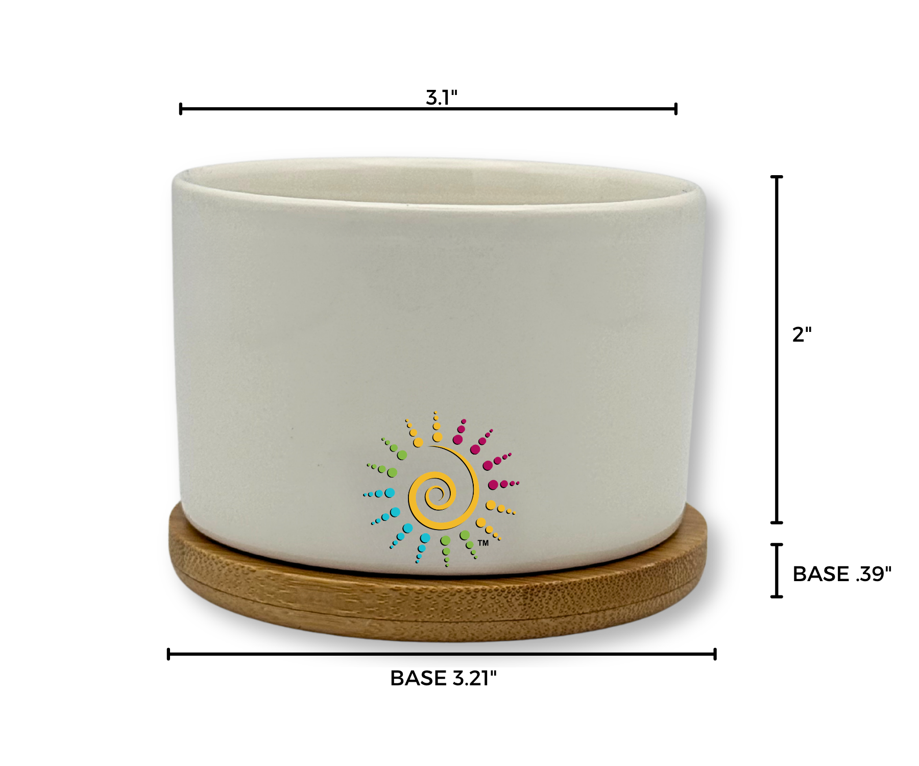 'BLOOM WHERE YOU ARE PLANTED' PETITE SUCCULENT FLOWER POT, PINK AND GREEN