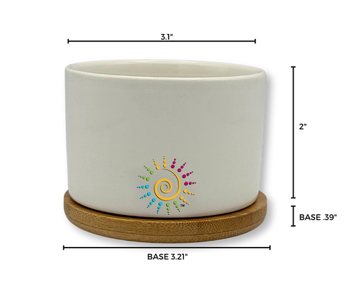 'BLOOM WHERE YOU ARE PLANTED' PETITE SUCCULENT FLOWER POT