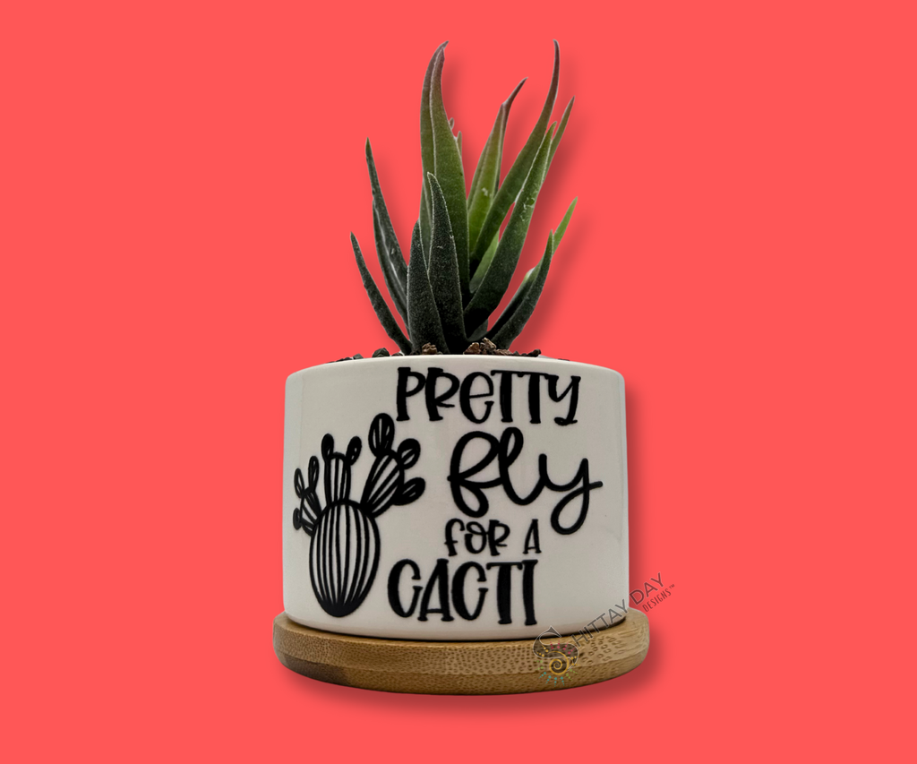 'PRETTY FLY FOR A CACTI' PETITE SUCCULENT/ CACTI FLOWER POT, ROCK POTS, FUNNY, PUNNY
