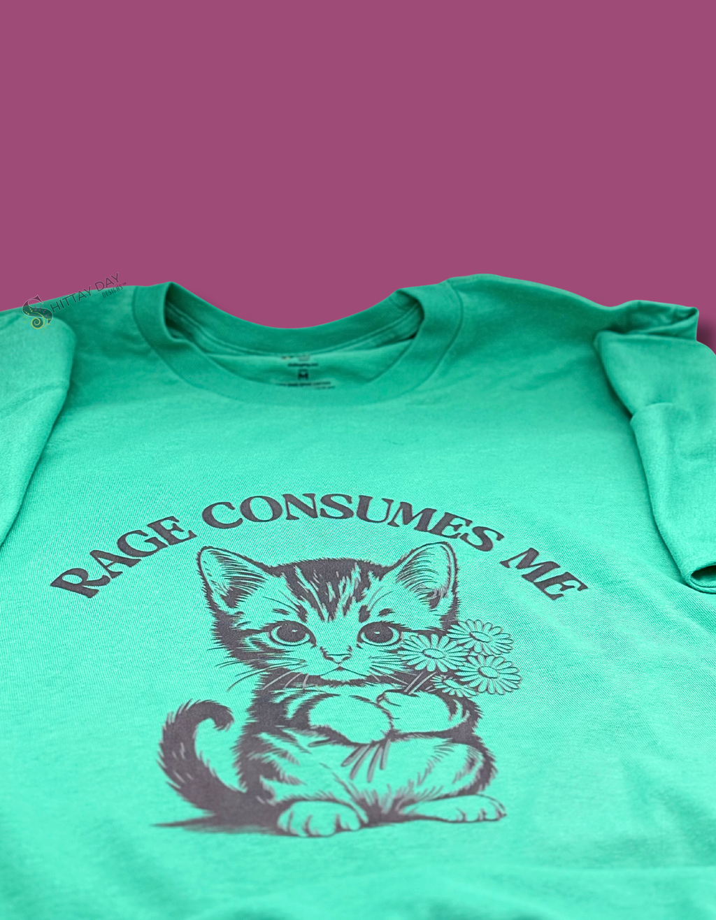RAGE CONSUMES ME - FUNNY 100% COTTON T-SHIRT COLOR MINT GREEN