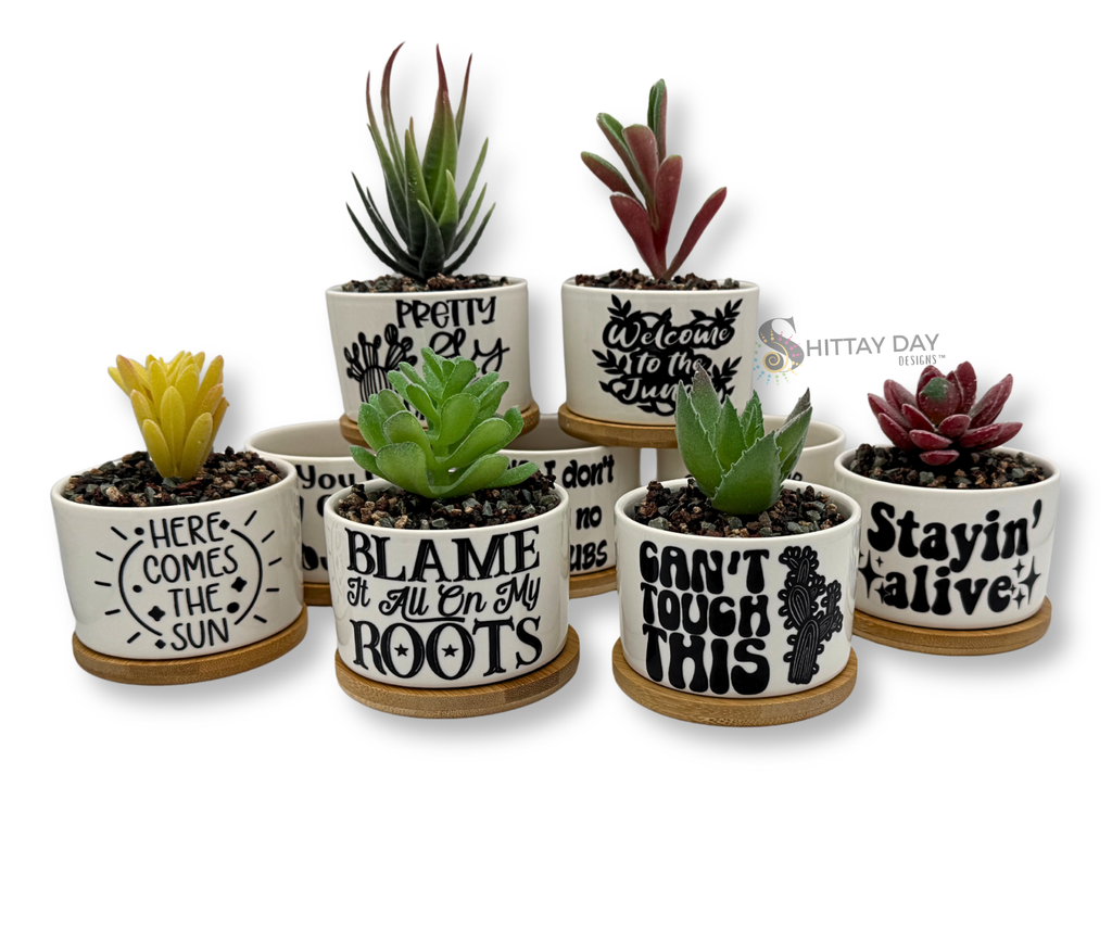 'BLAME IT ALL ON MY ROOTS' PETITE SUCCULENT FLOWER POT, ROCK POTS, FUNNY, PUNNY
