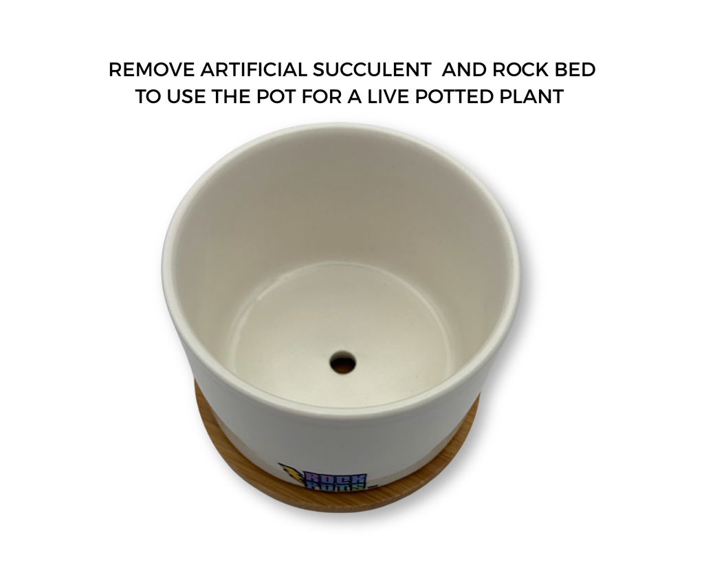 'BLAME IT ALL ON MY ROOTS' PETITE SUCCULENT FLOWER POT, ROCK POTS, FUNNY, PUNNY
