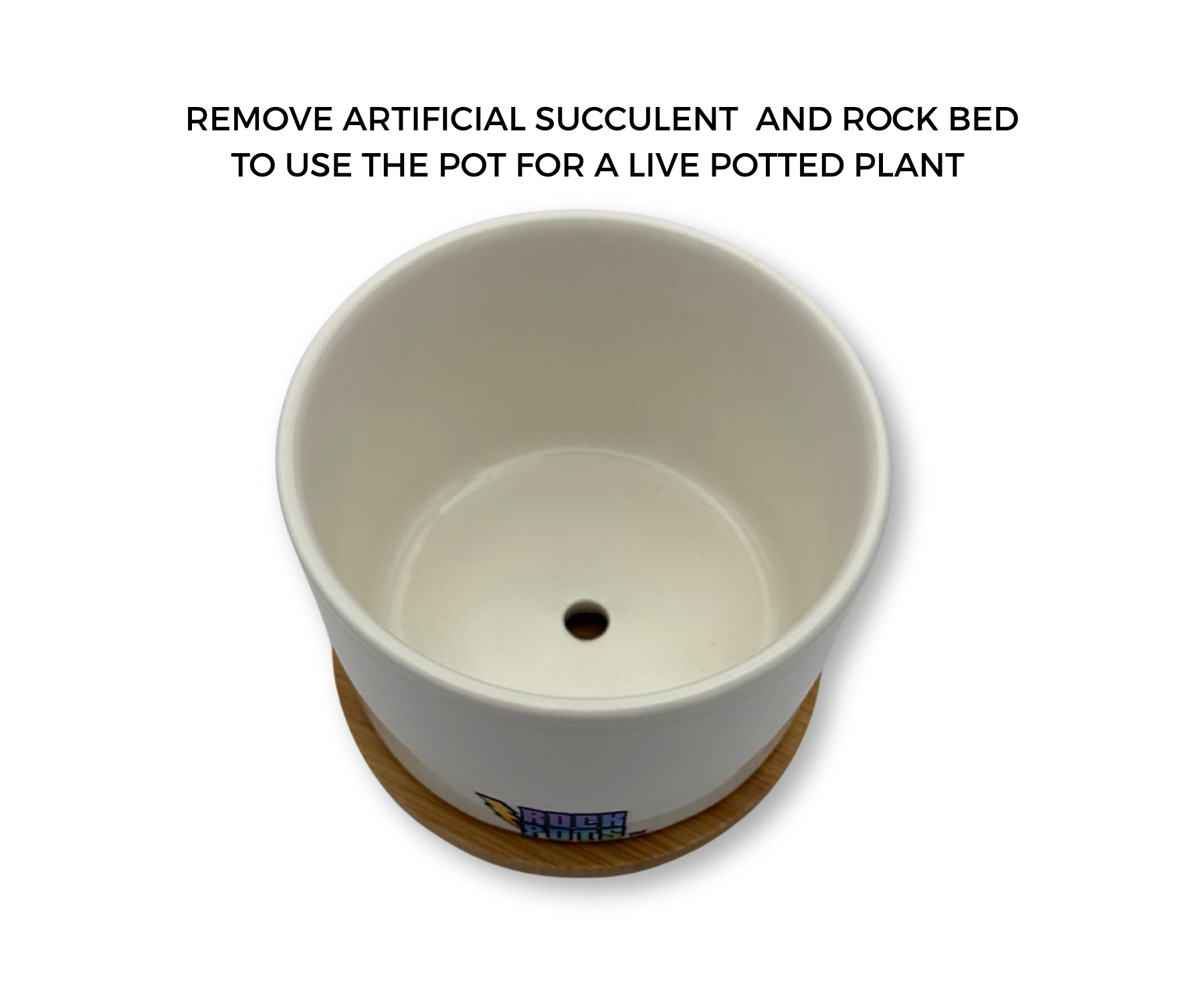 'BLAME IT ALL ON MY ROOTS' PETITE SUCCULENT FLOWER POT, ROCK POTS, FUNNY, PUNNY