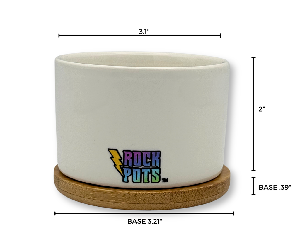 'BLAME IT ALL ON MY ROOTS' PETITE SUCCULENT FLOWER POT, ROCK POTS, FUNNY, PUNNY