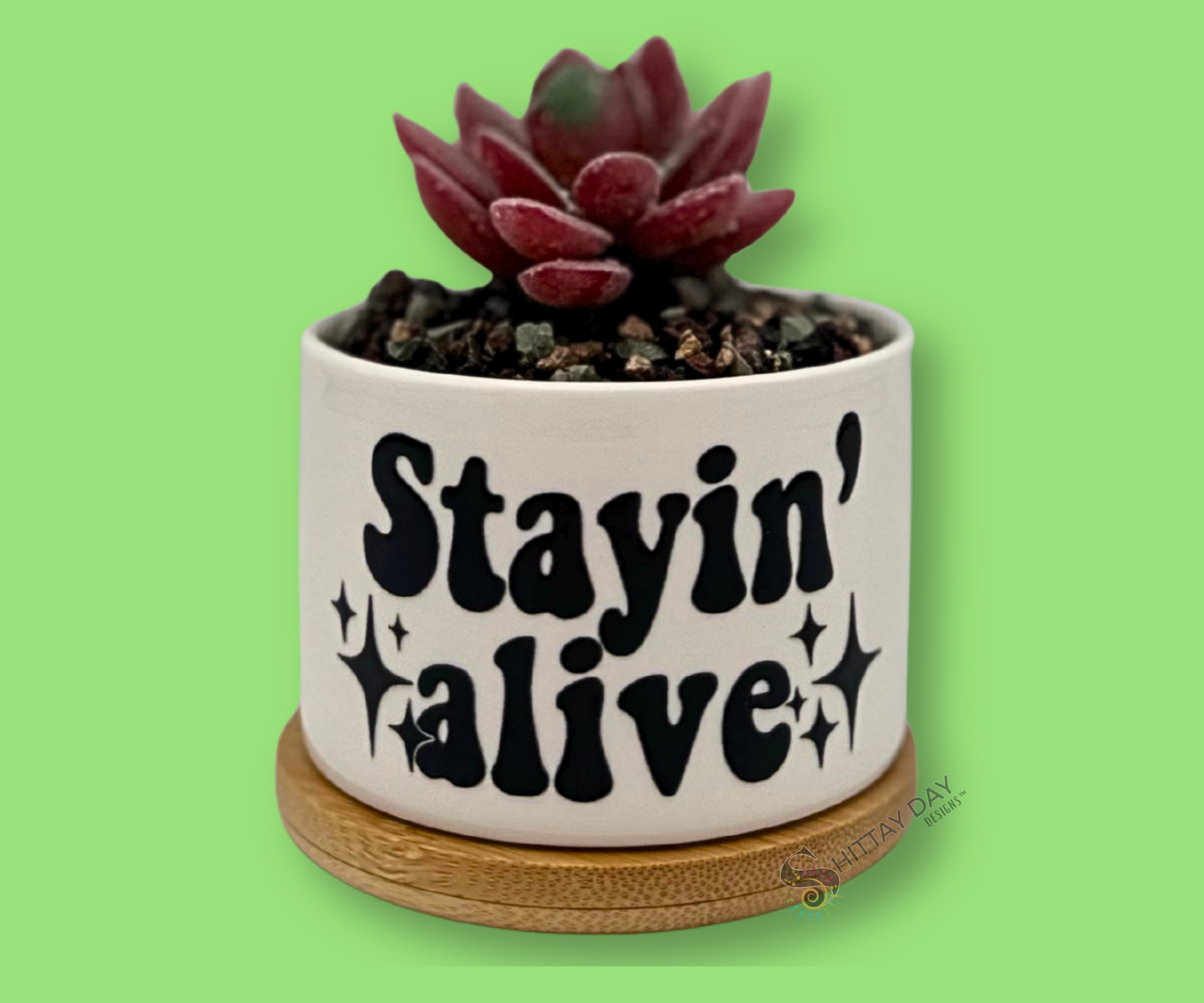 'STAYIN' ALIVE' PETITE SUCCULENT FLOWER POT, ROCK POTS, FUNNY, PUNNY
