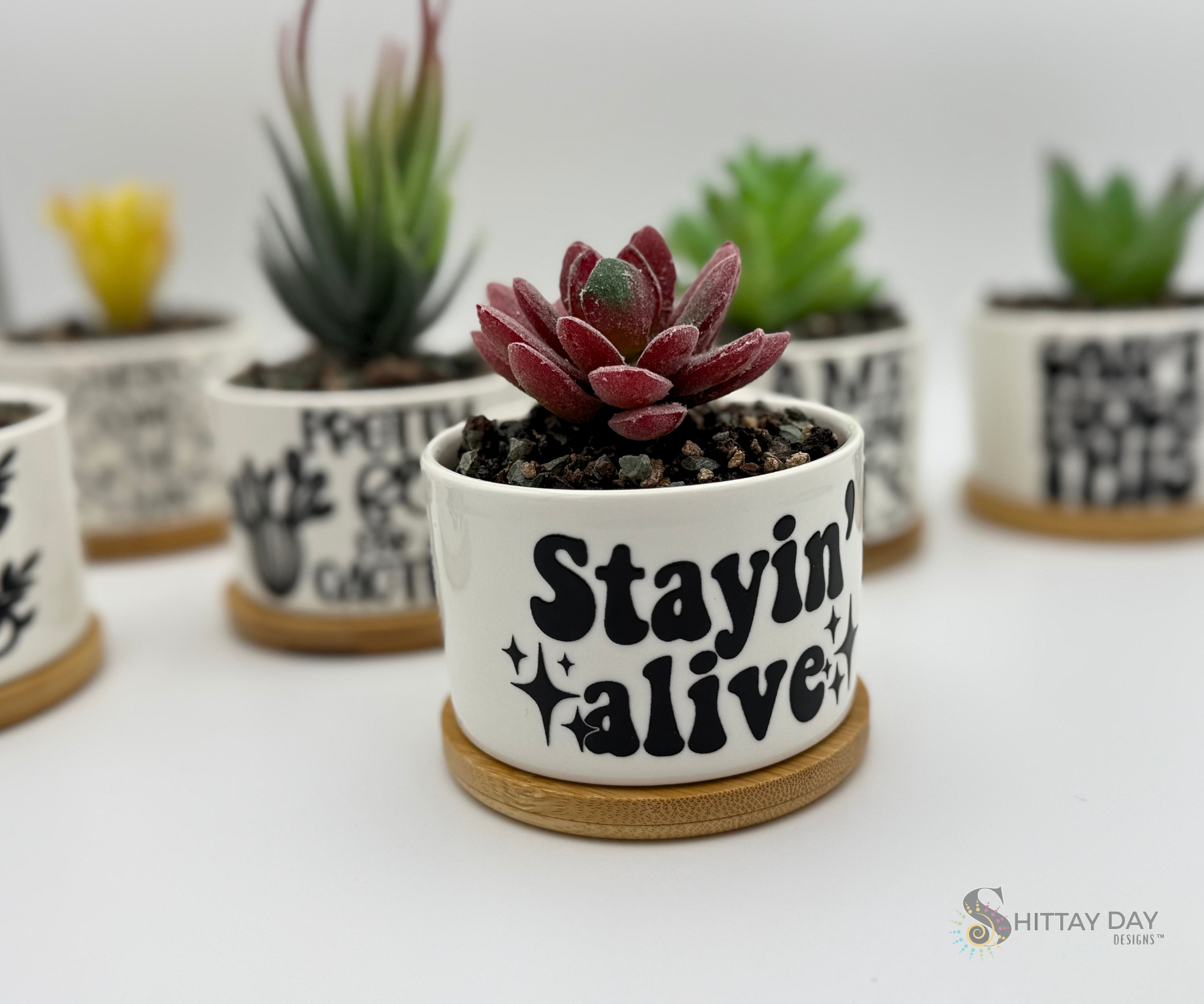 'STAYIN' ALIVE' PETITE SUCCULENT FLOWER POT, ROCK POTS, FUNNY, PUNNY