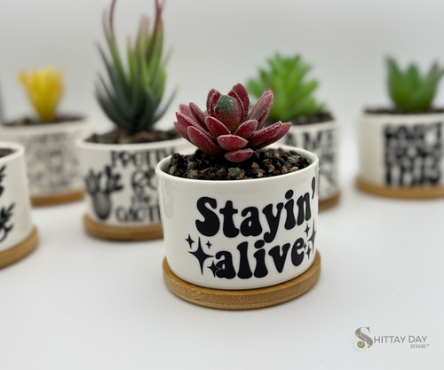 'STAYIN' ALIVE' PETITE SUCCULENT FLOWER POT, ROCK POTS, FUNNY, PUNNY
