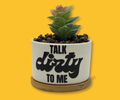Potted artificial succulent in rockbed petite ceramic planter with 'Talk Dirty to Me' text. Merchandised on a yellow background