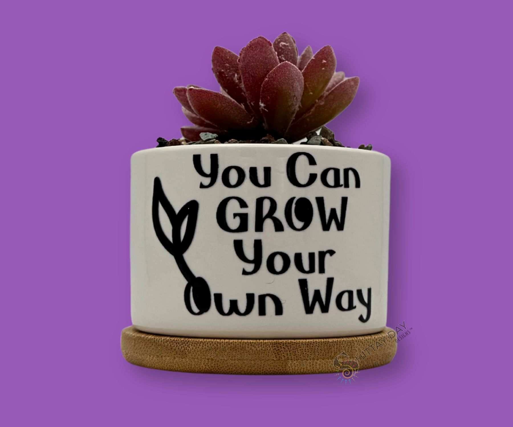 'YOU CAN GROW YOUR OWN WAY' PETITE SUCCULENT FLOWER POT, ROCK POTS, FUNNY, PUNNY