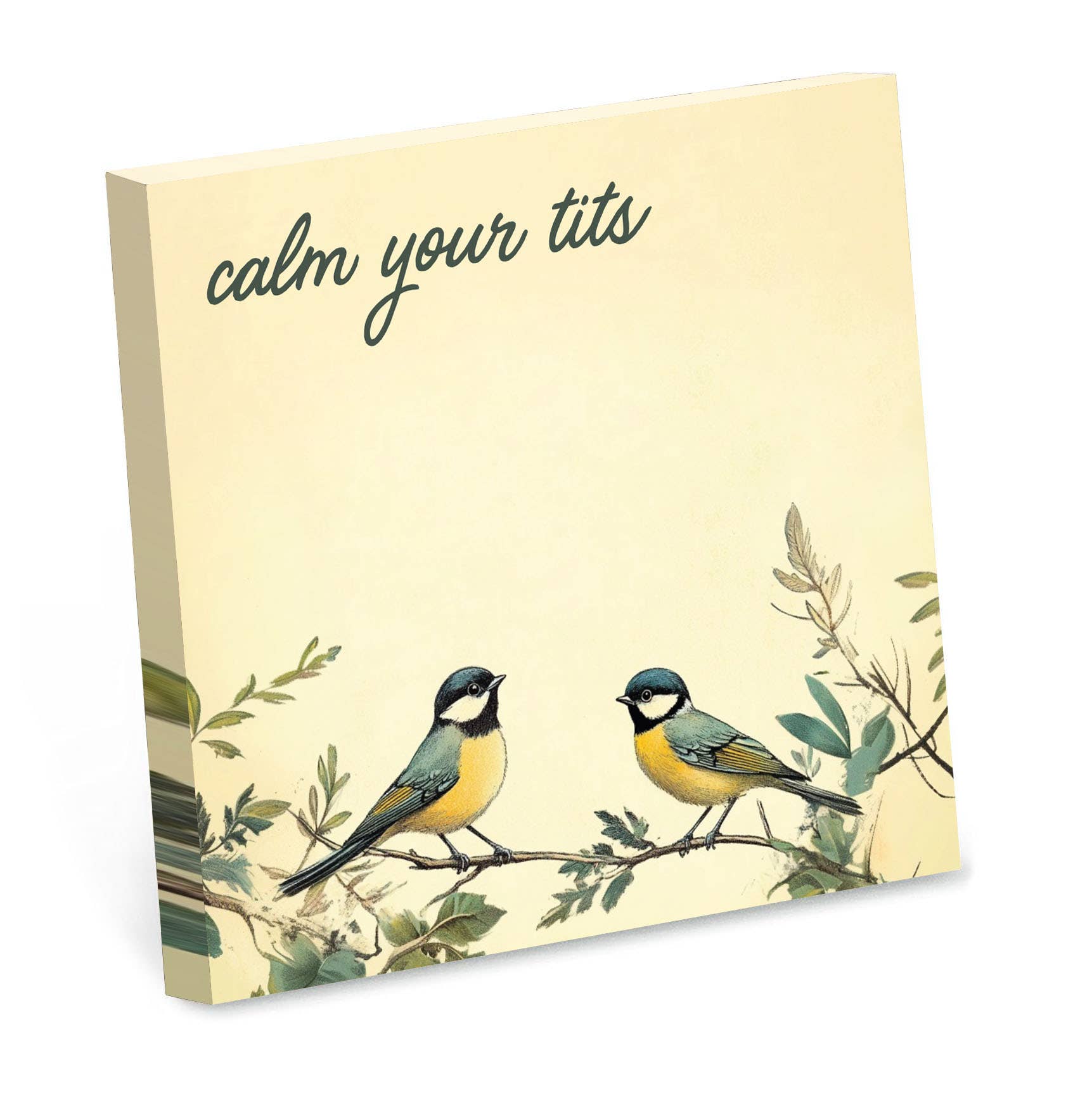 Sticky note pad with birds and sarcastic funny text 'calm your tits' on a beige background