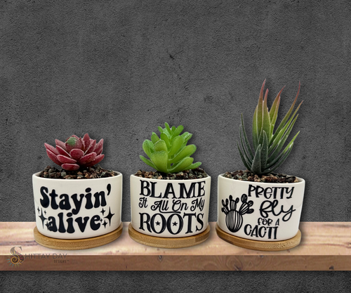 'BLAME IT ALL ON MY ROOTS' PETITE SUCCULENT FLOWER POT, ROCK POTS, FUNNY, PUNNY